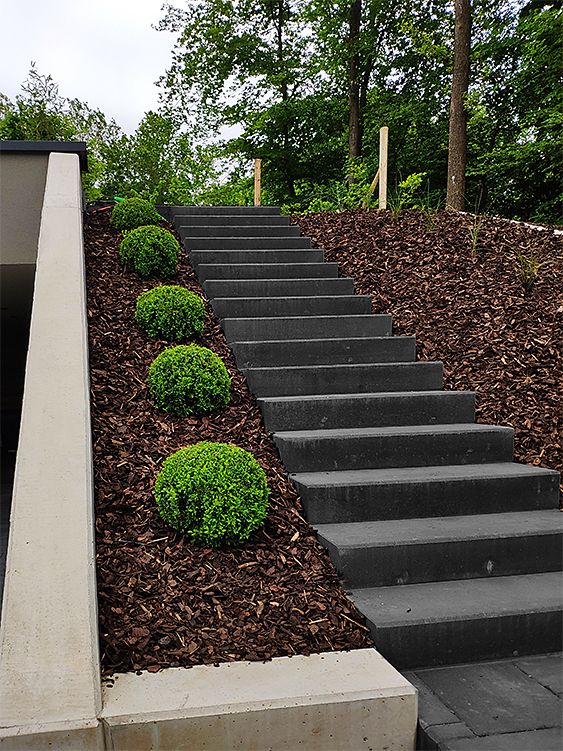 Escaliers en blocs avec mur de soutiennement et petites haies